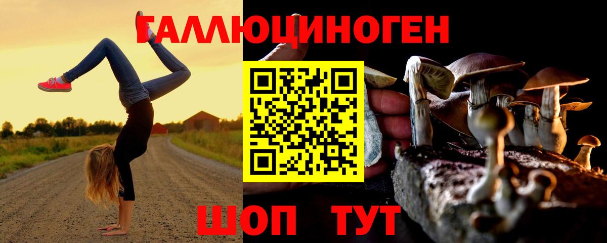 Псилоцибиновые грибы Cubensis Владивосток