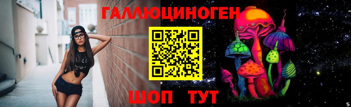 где найти наркотики  Псилоцибиновые грибы прущие грибы  Вход с VPN  Владивосток 